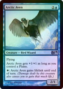 arctic aven