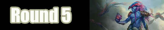 round 5 banner