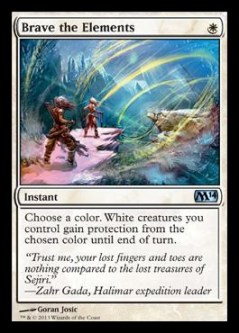 bravetheelements (1)