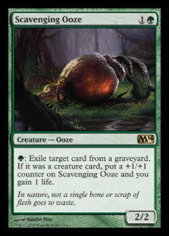 scavengingooze