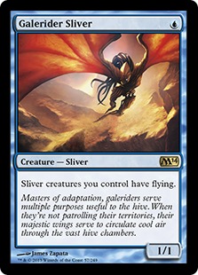 galerider sliver